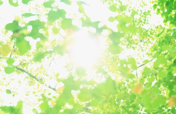 コンビニレジ広告制作 | 大阪の映像・楽曲・デザイン制作会社・TECH MUSIC WORKS合同会社 